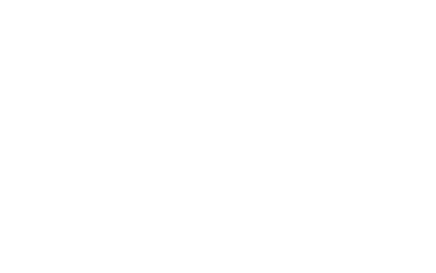 gint